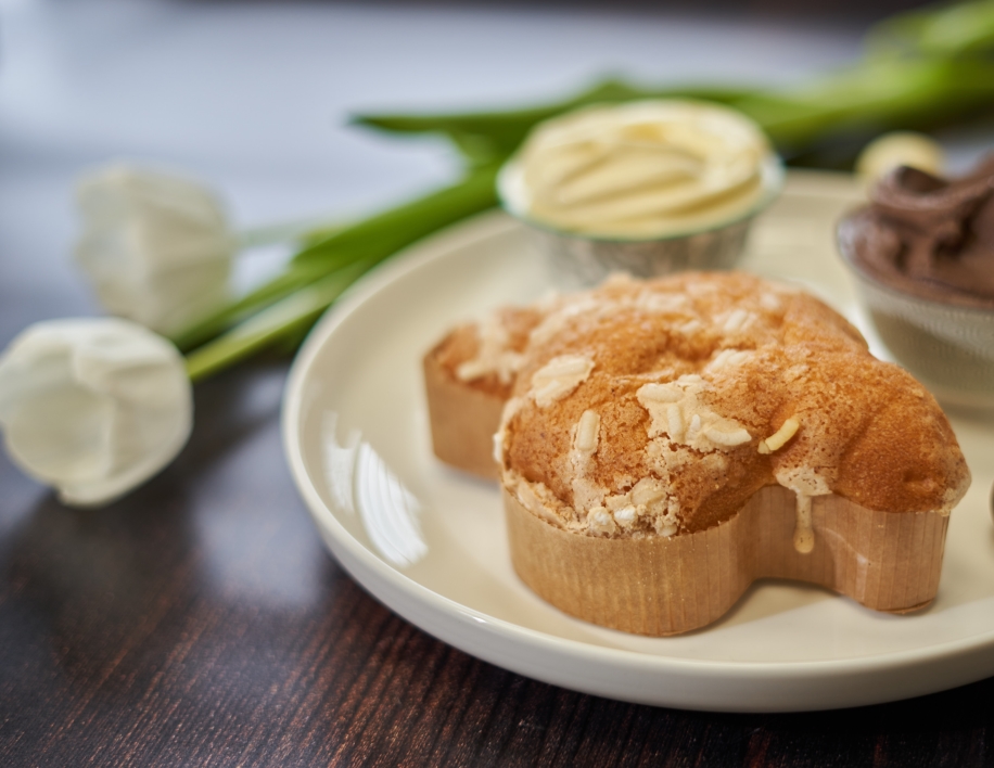 Colomba con il gelato